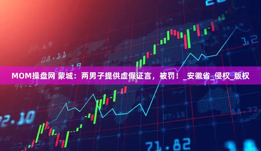MOM操盘网 蒙城：两男子提供虚假证言，被罚！_安徽省_侵权_版权