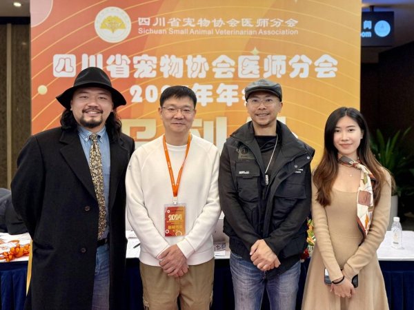 91快牛 给蛇做剖腹产、给乌龟做CT 走进异宠医生的世界丨有趣的TA