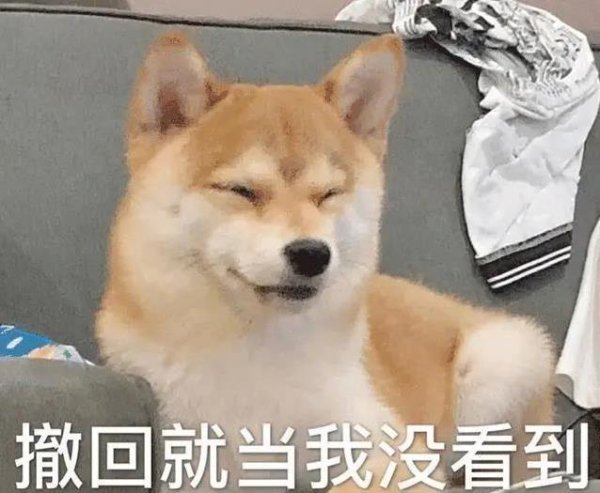 天天配资 养狗不简单？这8个秘诀让狗狗健康又开心