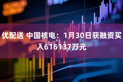 优配送 中国核电：1月30日获融资买入616137万元