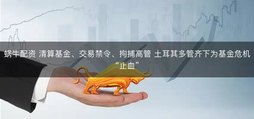 蜗牛配资 清算基金、交易禁令、拘捕高管 土耳其多管齐下为基金危机“止血”